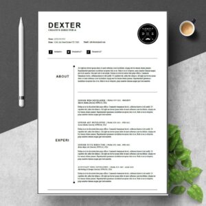 2 Pages Full Extent Resume Sample