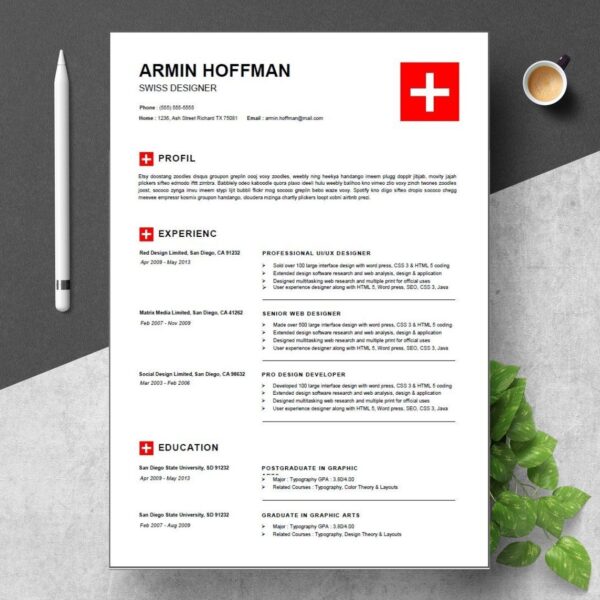 2 Pages Swiss Resume Sample