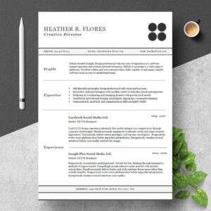 3 Pages Clear View Resume Sample