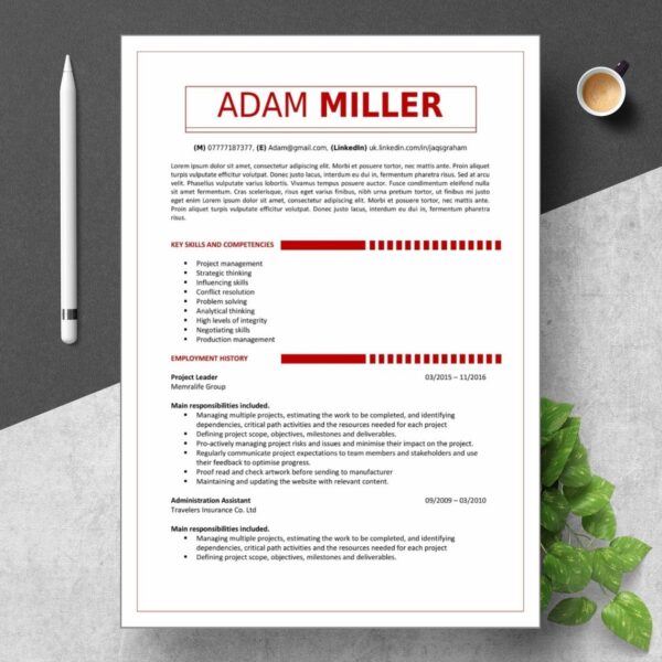 Red Minimal Resume Sample